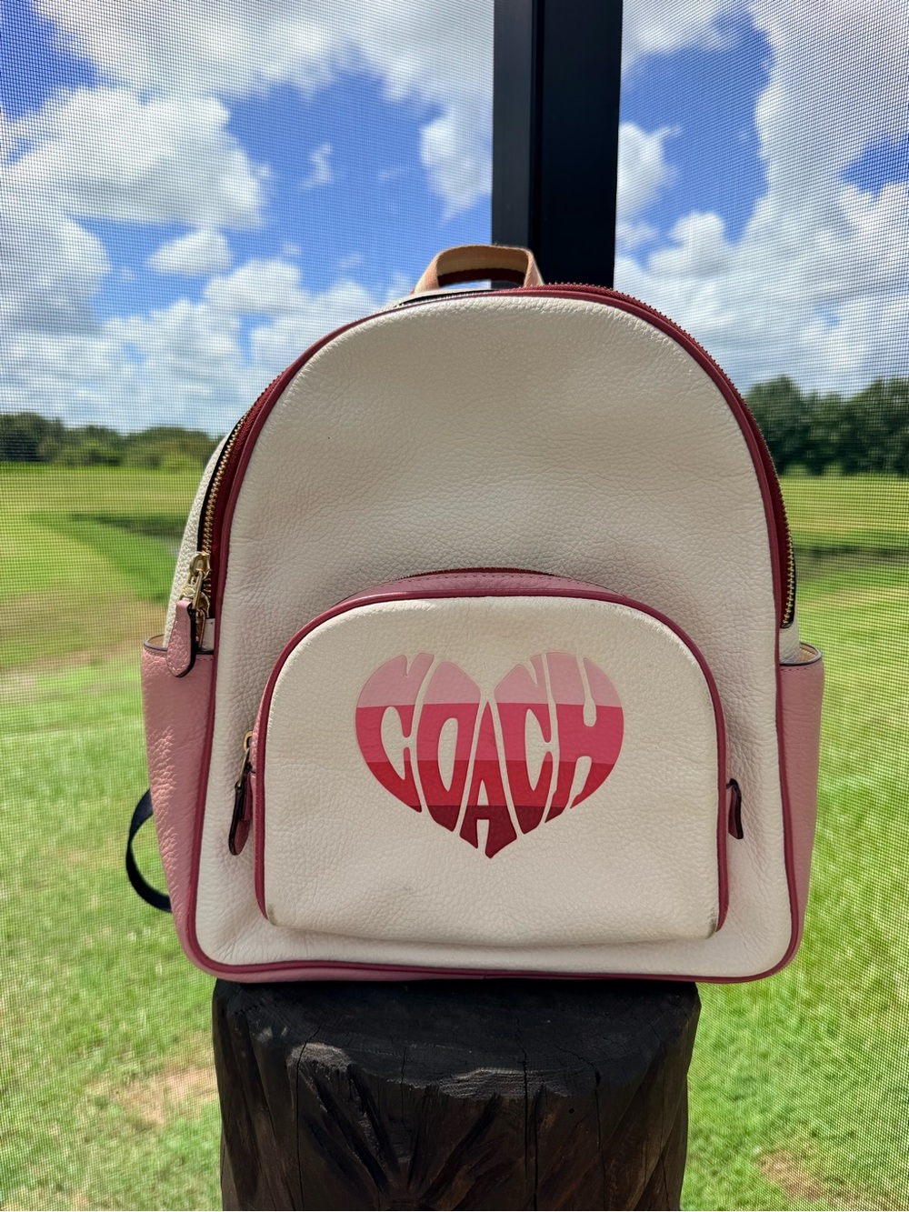 Coach CA246 Court Backpack Stripe Heart Chalk Pink Pebble Leather
